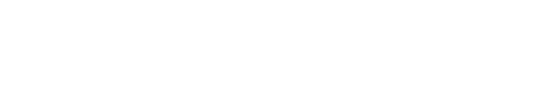 Black Dash